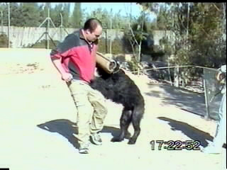 uwe met may